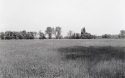 Agrarland Vorderpfalz 71