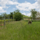 YaelParis_LignesdeFront_14