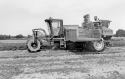 Agrarland Vorderpfalz 75