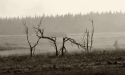 Hohes Venn 17