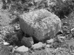 N_21
