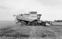 Agrarland Vorderpfalz 83