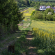YaelParis_LignesdeFront_8