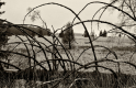 Hohes Venn 6