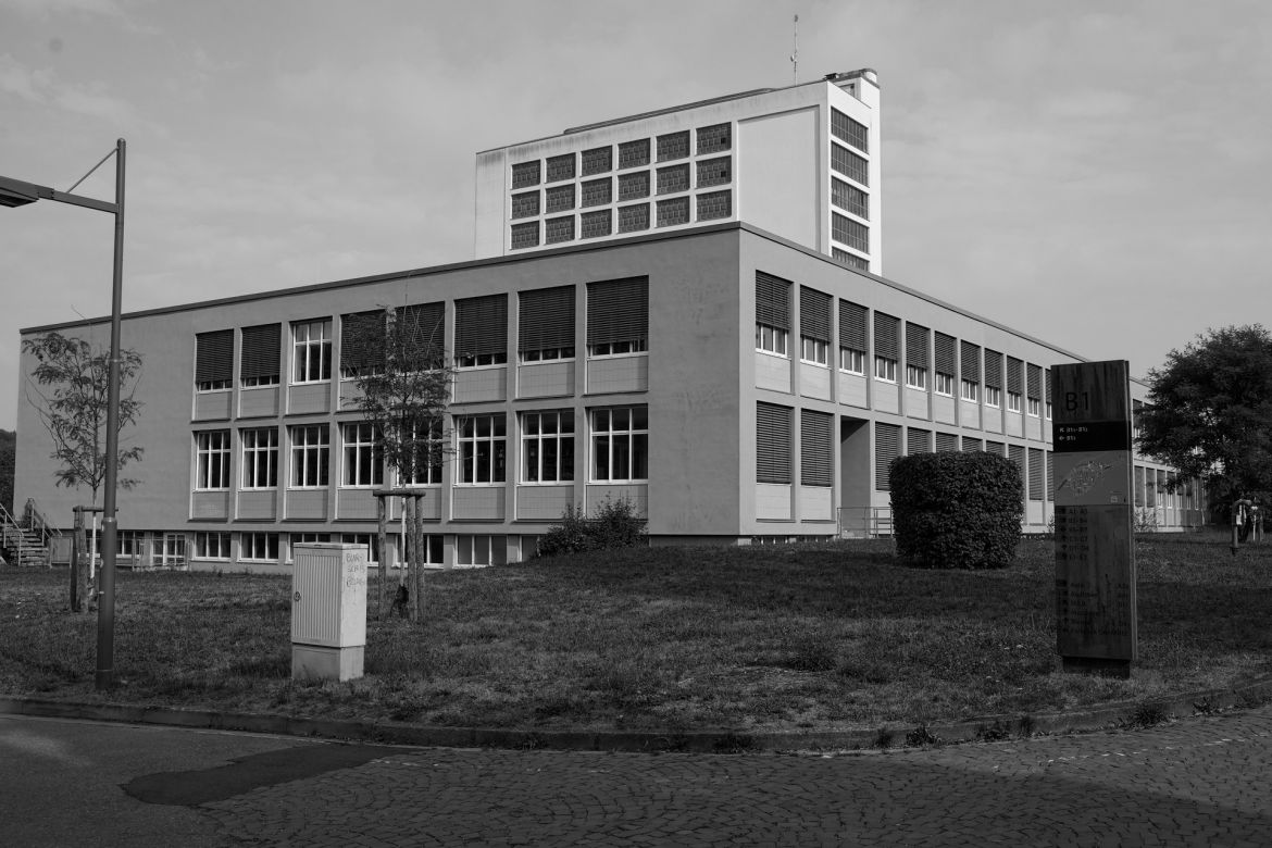 lichtung-25