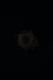 06 Exil