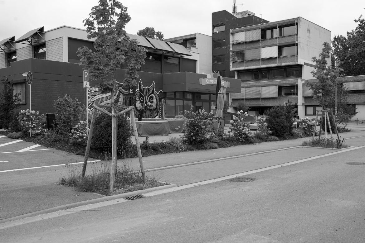 lichtung-17