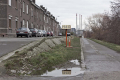 26_maastal_Schaefer