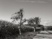 Bild 015
