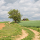 YaelParis_LignesdeFront_22