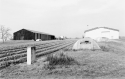 Agrarland Vorderpfalz 6