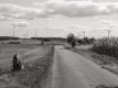Bild 035