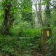 YaelParis_LignesdeFront_10