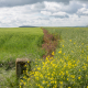 YaelParis_LignesdeFront_2