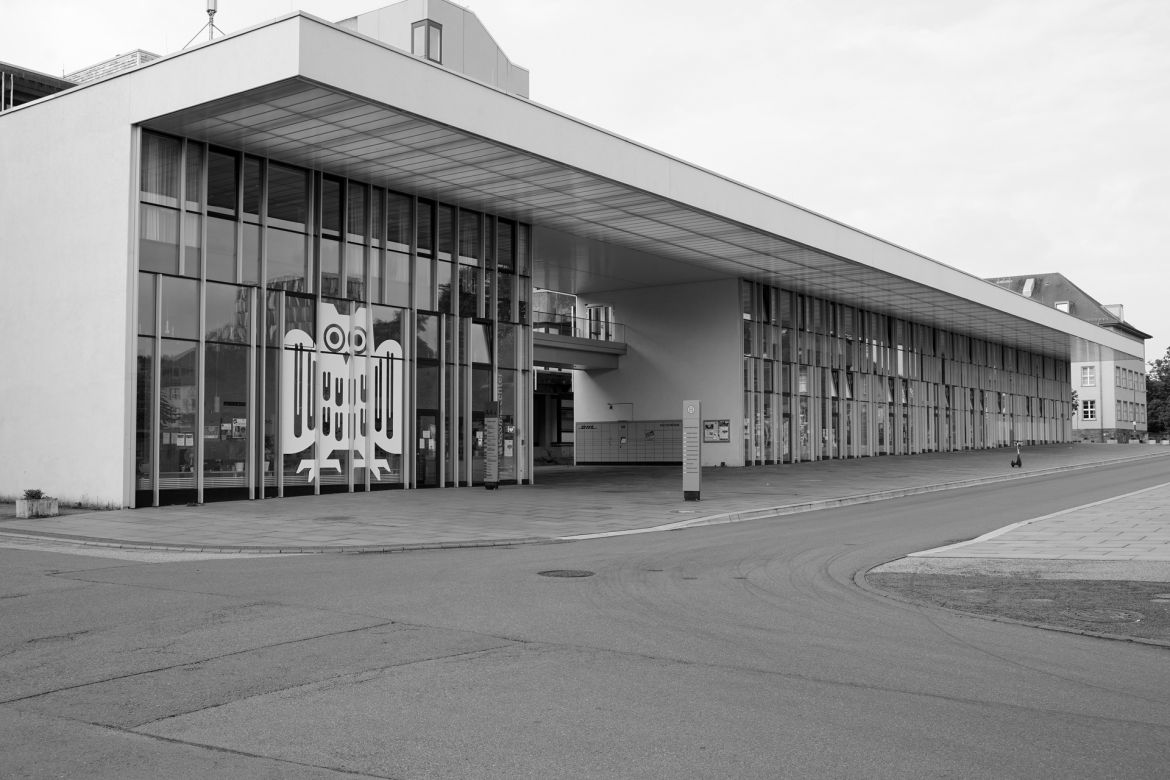 lichtung-49