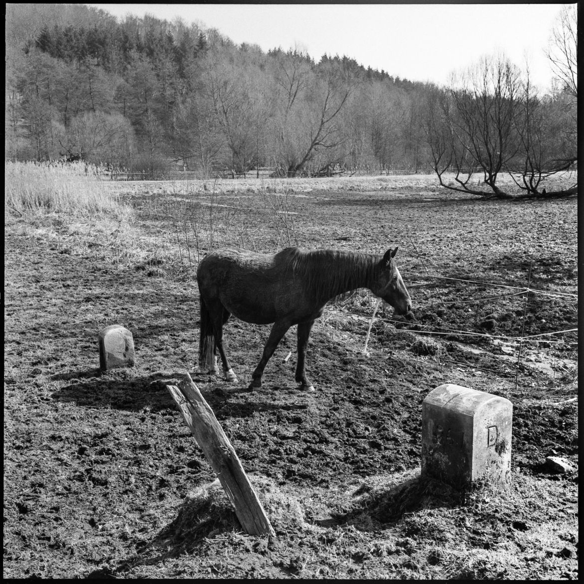 03 Grenzgänge-008