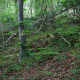 YaelParis_LignesdeFront_11