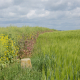 YaelParis_LignesdeFront_4