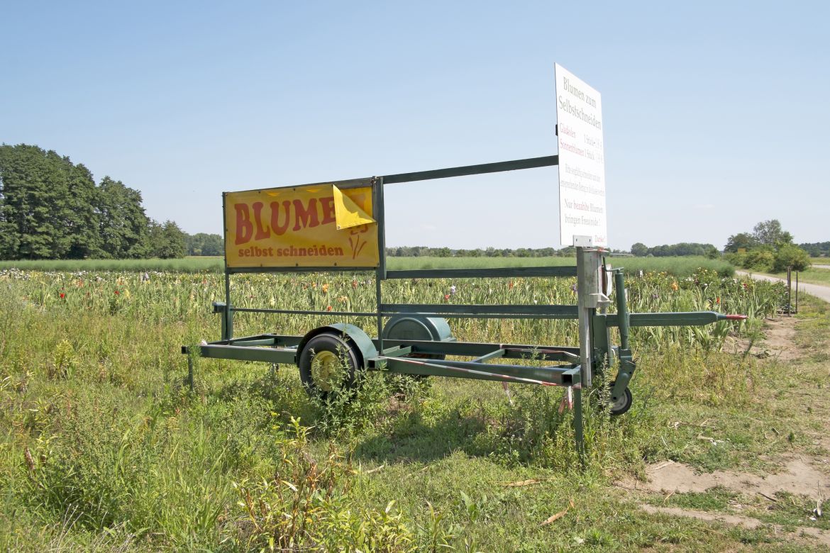 046 Nahe der B39 östlich von Geinsheim