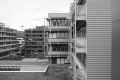 lichtung-42