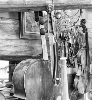 L'atelier cabinet de curiosités du luthier Alain Meyer à Lorry-les-Metz