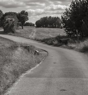 Le long du chemin frontalier