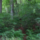 YaelParis_LignesdeFront_12