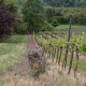 YaelParis_LignesdeFront_16