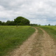 YaelParis_LignesdeFront_5