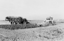 Agrarland Vorderpfalz 94