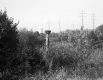 Philippsburg 23