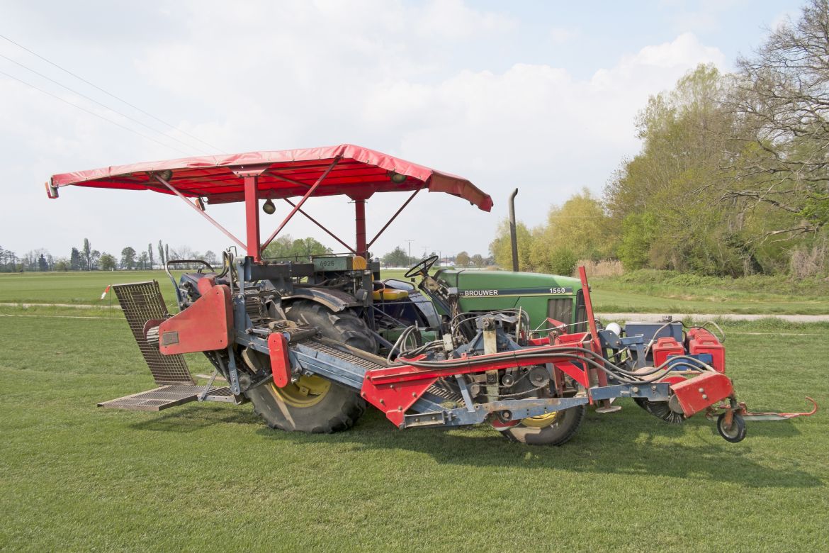 103 Rollrasen-Erntemaschine nahe der B39 östlich von Geinsheim