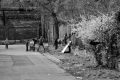 2016-04-02 Seraing 13