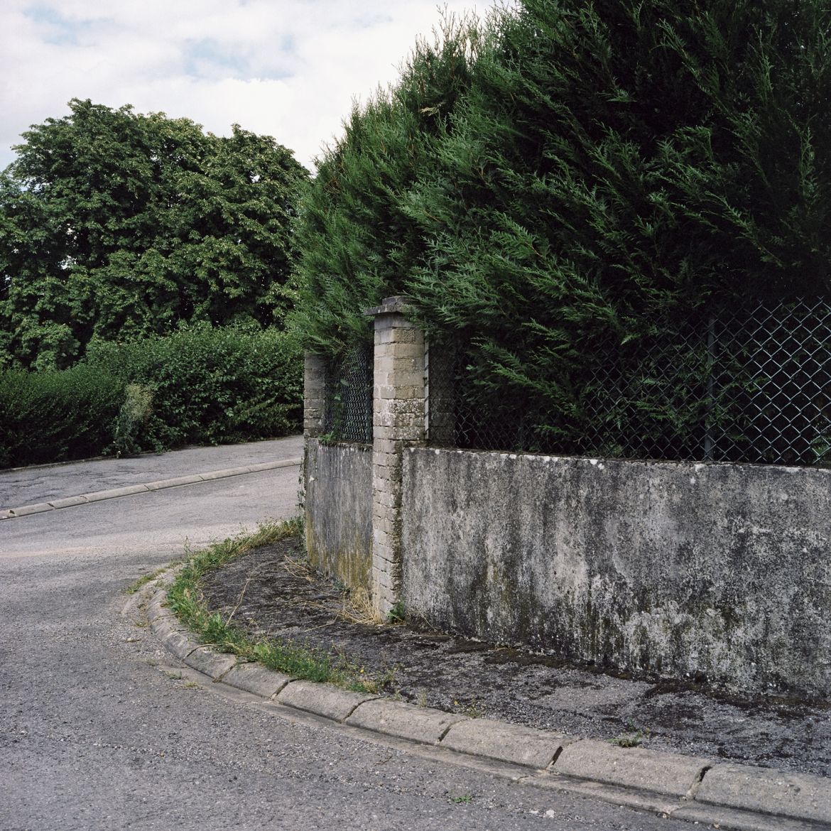 Sylvie_Guillaume_08