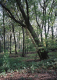 20_chantalv_191F_16_2010