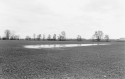 Agrarland Vorderpfalz 4