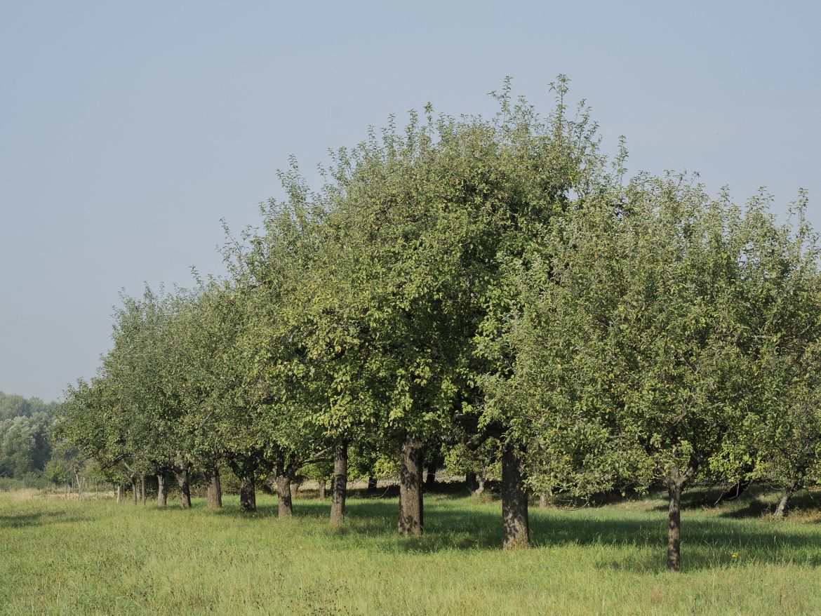 Bild 03