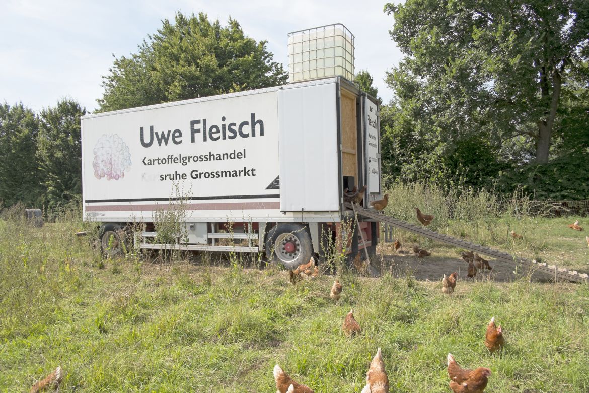 074 Mobiler Hühnerstall in der Feldflur nahe dem westlichen Ortsrand von Schaidt