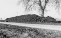 Agrarland Vorderpfalz 10