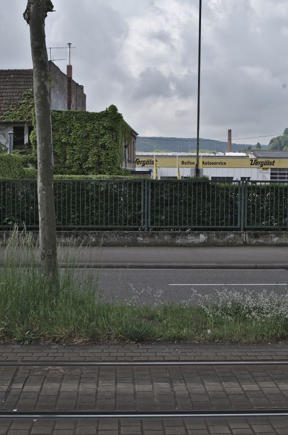 16 Kieselhumes hin