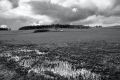 An der Alf-17
