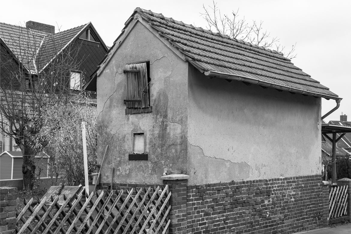 _DSC0509