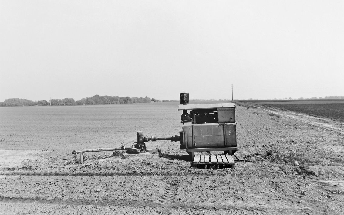 Agrarland Vorderpfalz 26