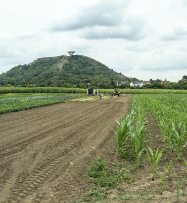 La Lisdorf Au