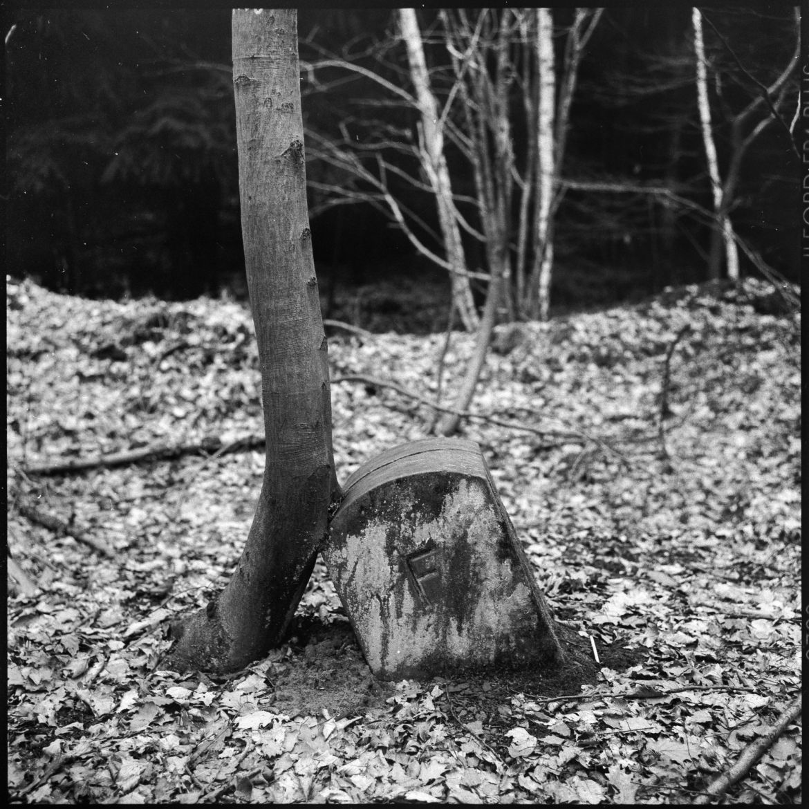 15 Grenzgänge-094