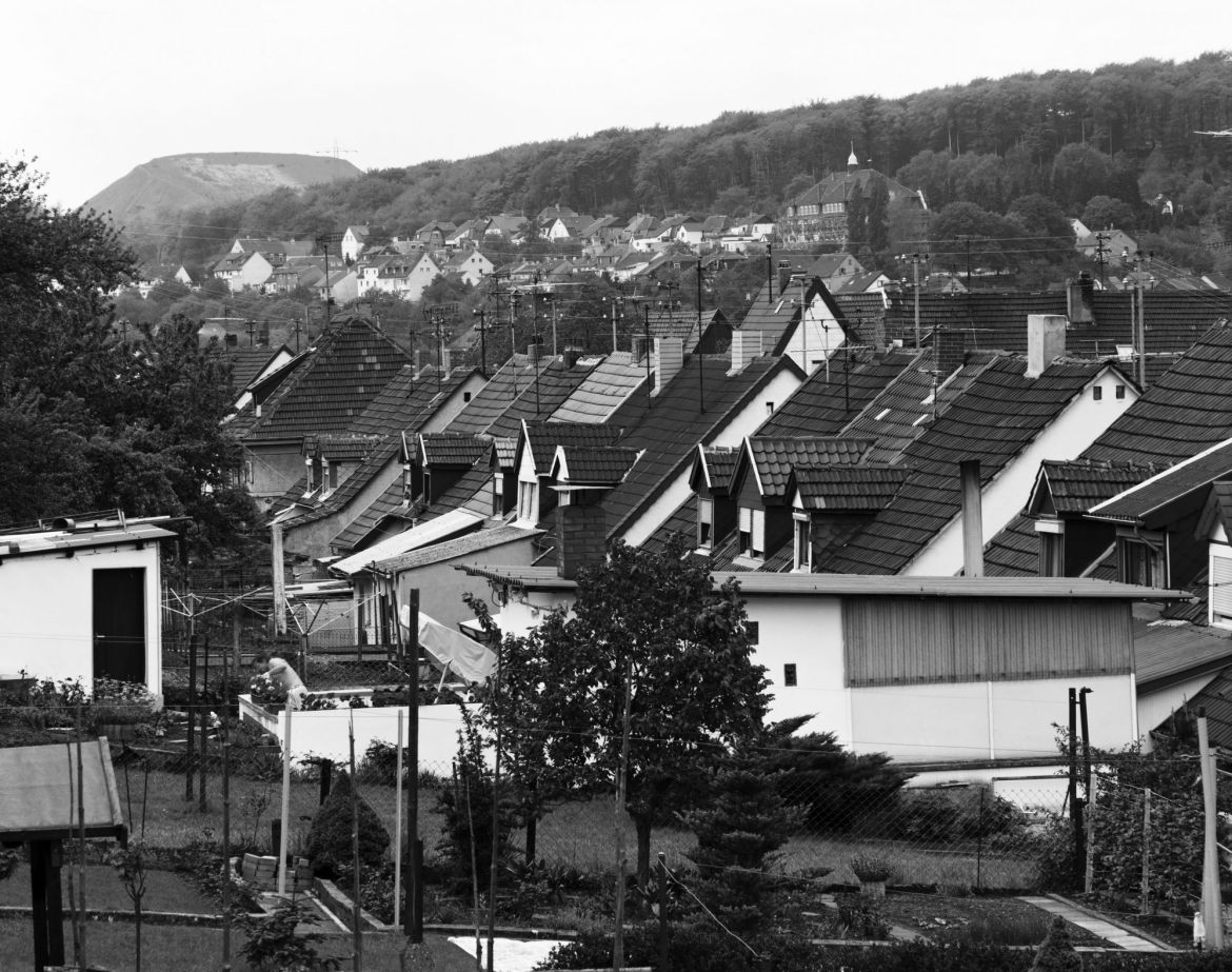 Nr. 10