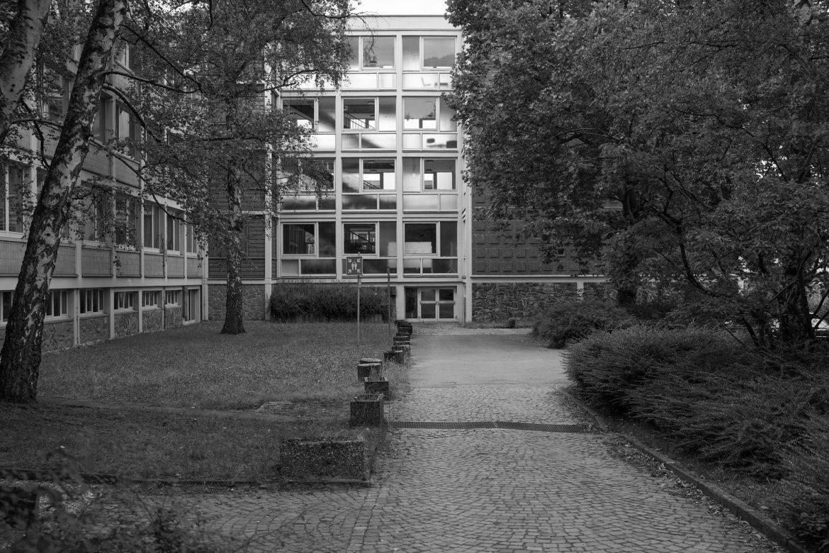 lichtung-13