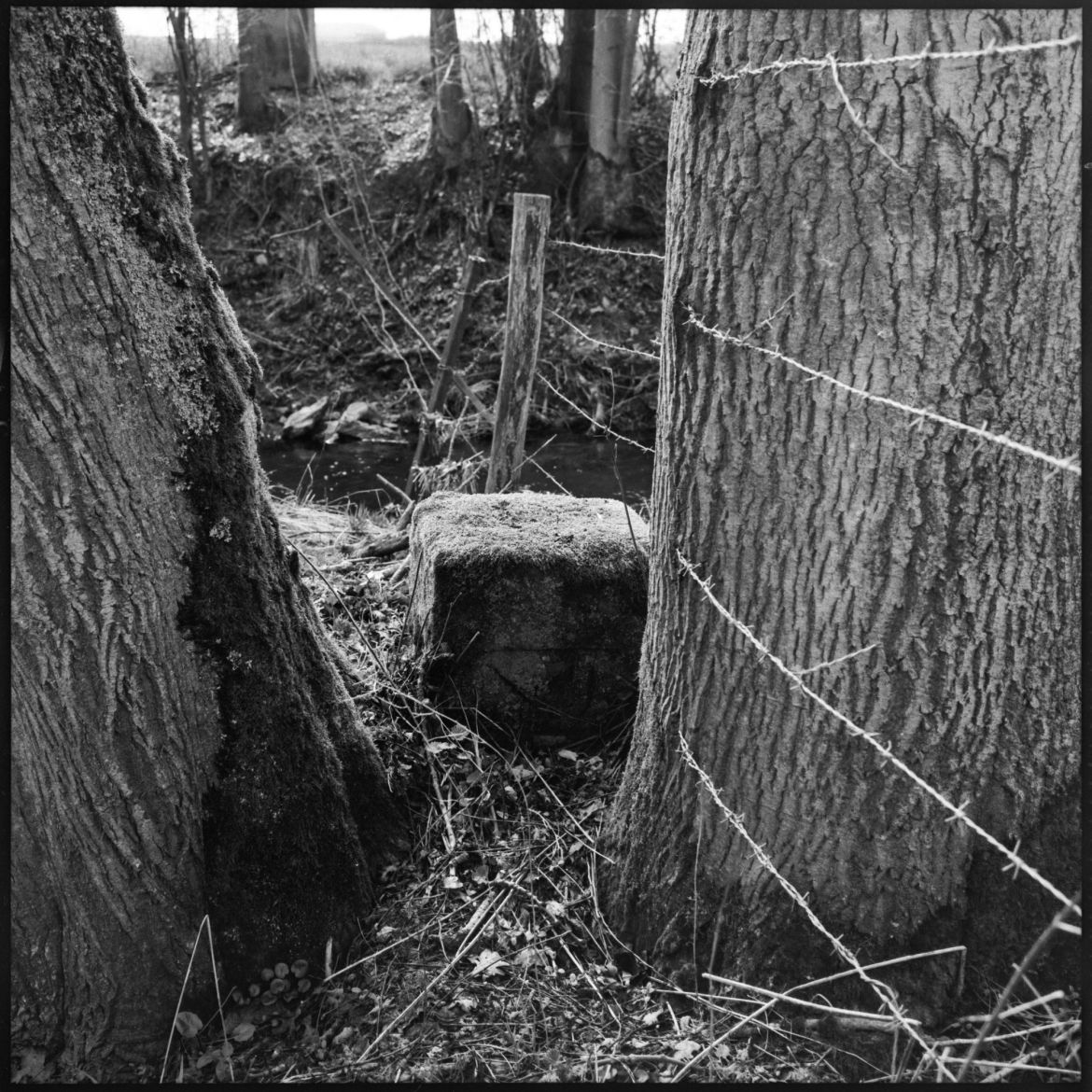 19 Grenzgänge-127