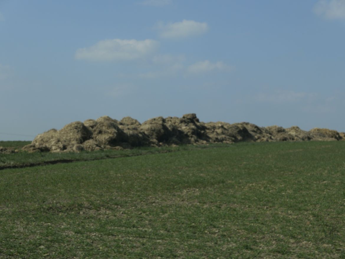 12 L1001506
