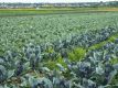 Bild 06